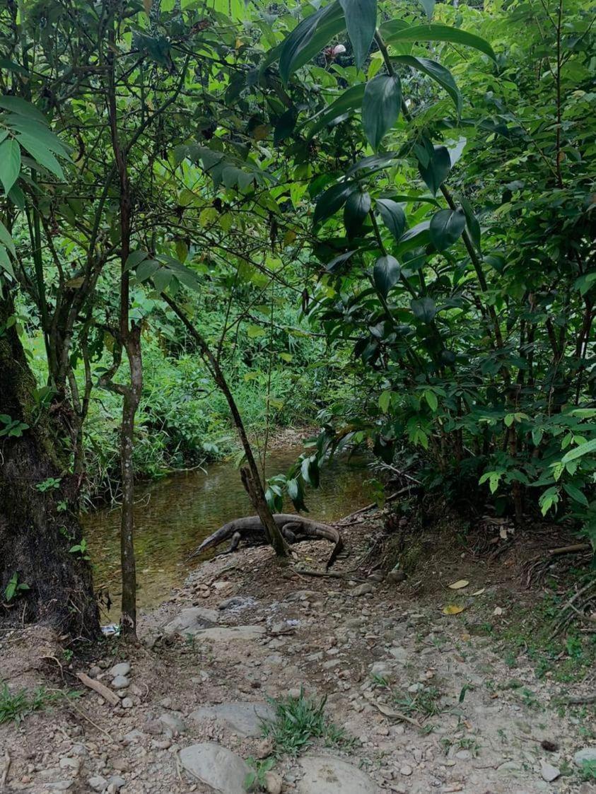 בוקיט לוואנג Wisma Batu Mandi מראה חיצוני תמונה